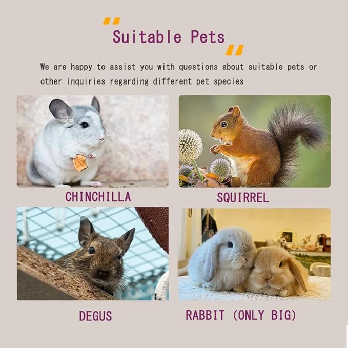 Chinchilla House – Natural Wooden Pet Hideout with Wooden Peg, No Paint, Safe & Durable, Ideal for Teeth Grinding