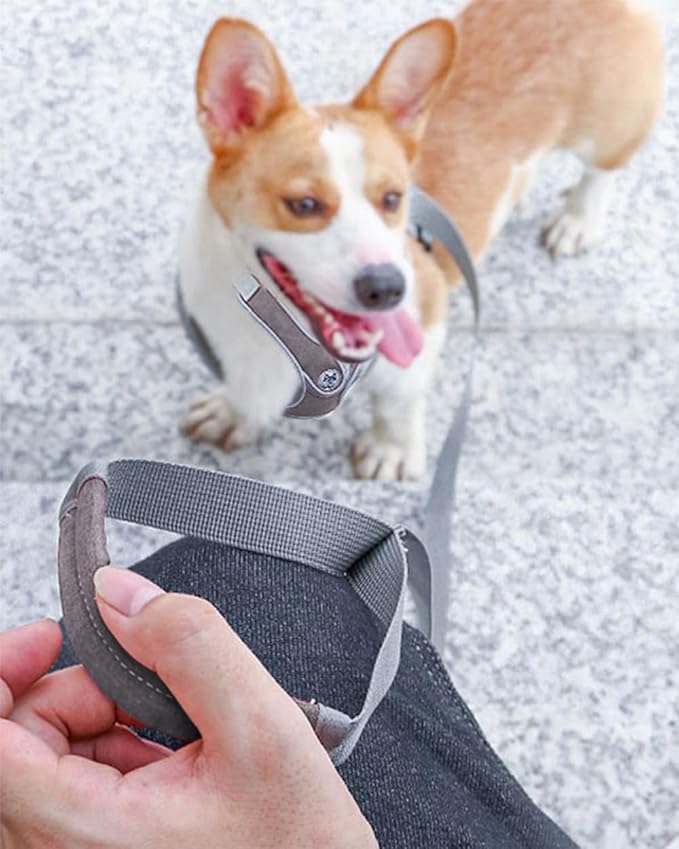 Small Dog Harness and Leash Set,No Pull Adjustable Step in Soft Mesh Vest Harness,Easy Walk Reflective Pet Harness with Padded Handle for Walking Training Small Medium Large Dogs and Cats (Grey, S)