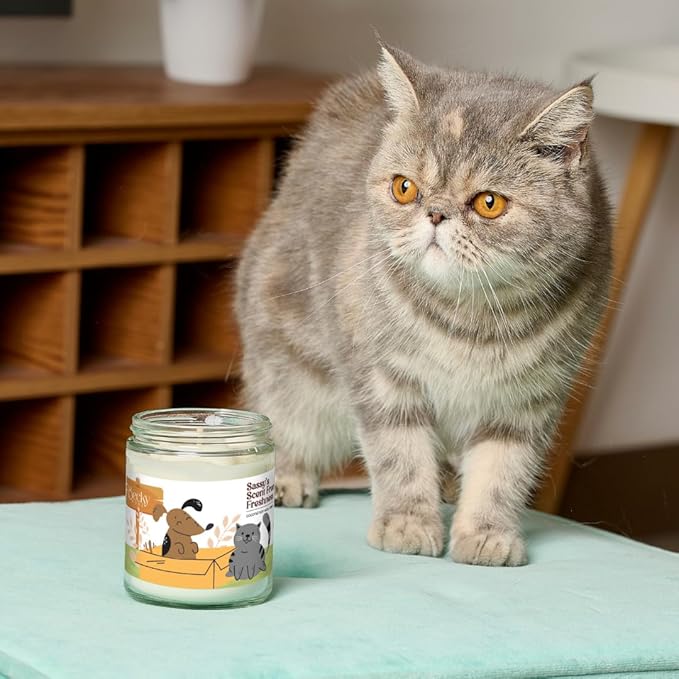 9oz Pet Odor Eliminator Deodorizer Candle, Long-Lasting Unscented, Non Toxic, Scentless Natural Plant-Based Wax Blend