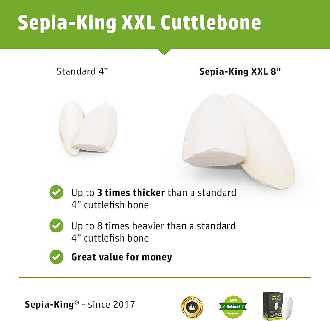 Extra Large - 100% Natural Calcium Supplement - Premium Cuttlebone Perfect for Birds, Tortoises, Snails, Reptiles - Pack of 3