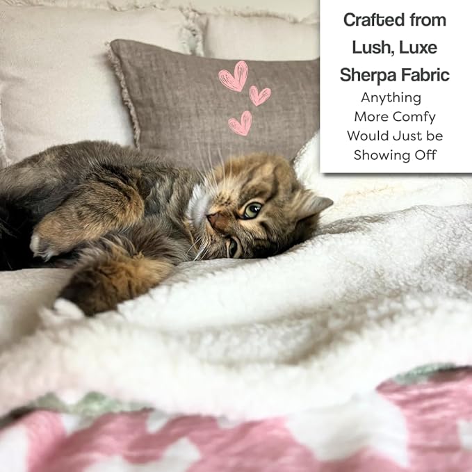 Cat Blanket for Indoor Cats – 29" Soft Sherpa Fleece Pet Throw, Washable Reversible Dog Blanket for Small Dogs, Cats, Kittens, Couch Bed Sofa Car Protector – Grey