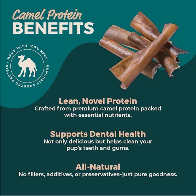 BULLY STICKS DIRECT Premium Camel Skin Protein Dog Chews, All Natural Heavy Chewer Treats, Long Lasting Dental Care Strips, 25 Pack