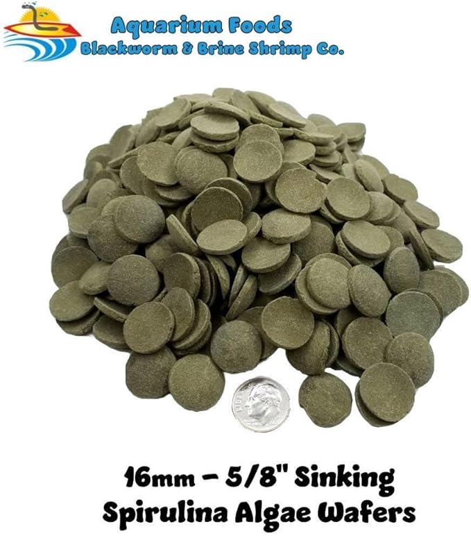Aquatic Foods Inc. 16mm - 5/8" Medium/Large Sinking Wafers of Algae, Spirulina, Veggies for All Tropical Fish, African Cichlids, Shrimp, Snails, Crabs, Catfish, Plecos..…1-lb 0.3oz Clear Bag