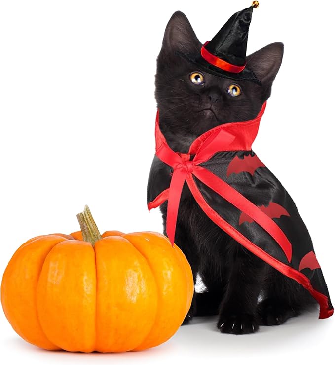 Halloween Cat Costume Cloak Witch Hat Accessories, Adjustable Bat Set, Small Cats Dogs and Other Pets Halloween Parties and Pet Cosplay