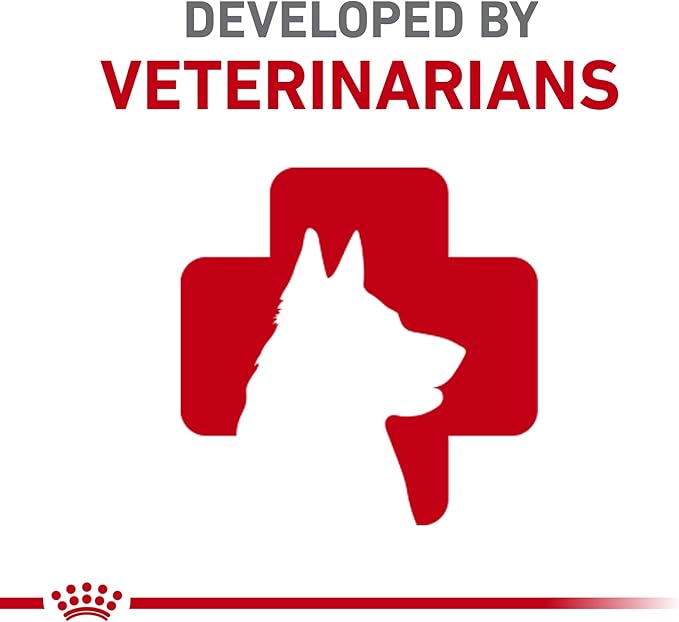 Royal Canin Yorkshire Terrier Adult 8+ Dry Dog Food for Aging Dogs