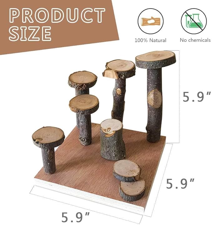 Hamster Climbing Wooden Stand Platform Hamster Cage Playground Natural Wood Bridge ramp Toys for Dwarf Hamsters Syrians Gerbil Mouse Rat