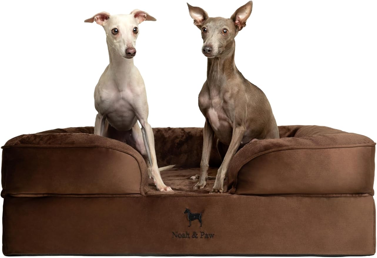 NOAH & PAW Large Dog Bed, 35x25x11 Inch, Orthopedic Dog Beds, Eggshell Memory Foam Infused with Cooling Gel, Inner Cover, Waterproof, Machine Washable (Velvet Sofa Collection)