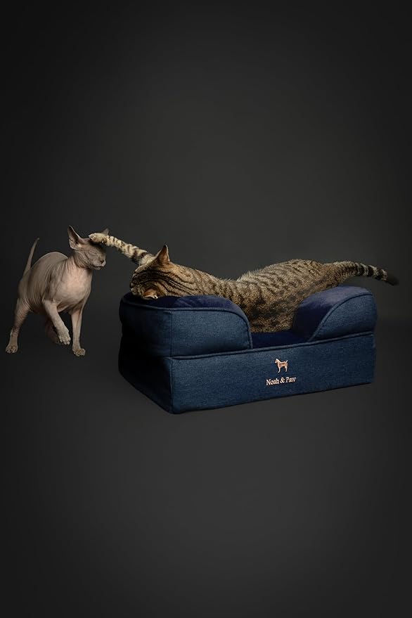 NOAH & PAW Small Dog Bed, 20x15x8 Inch, Cat Bed for Indoor Cats, Orthopedic Eggshell Memory Foam Infused with Cooling Gel, Waterproof Inner Cover Machine Washable (Denim Collection)