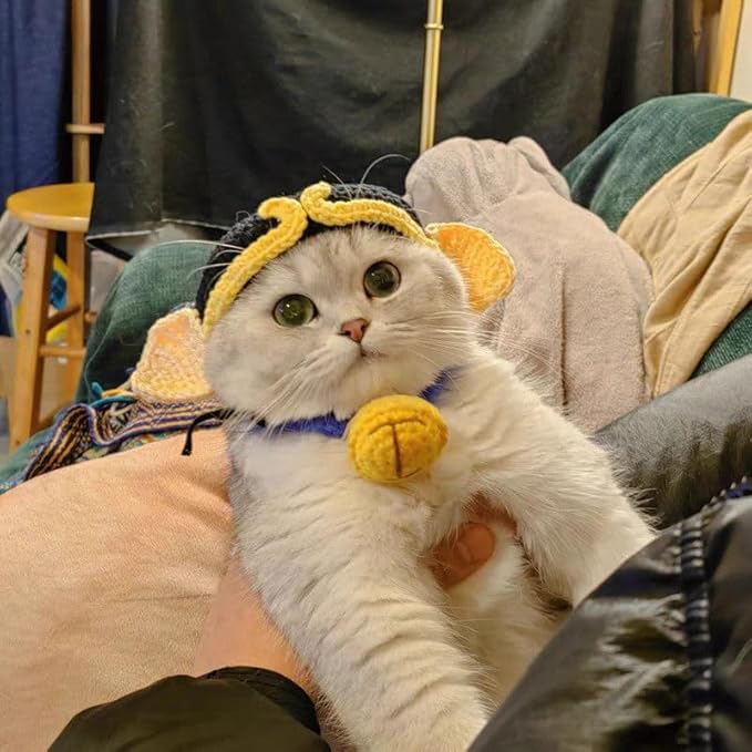 Pet Head Adorable Cat & Dog Knit Beanie - Cute & Soft Headwear for Halloween (Medium, 17 lbs & Under)