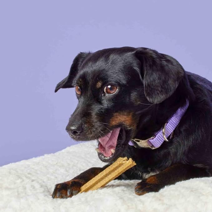 Ellevet Dental Sticks for Dogs – Hemp Enriched Dental Dog Chews – Freshen Dog Breath, Promote Clean Teeth, Support Oral Health - 10 Sticks - Small Dogs (Under 40lbs)