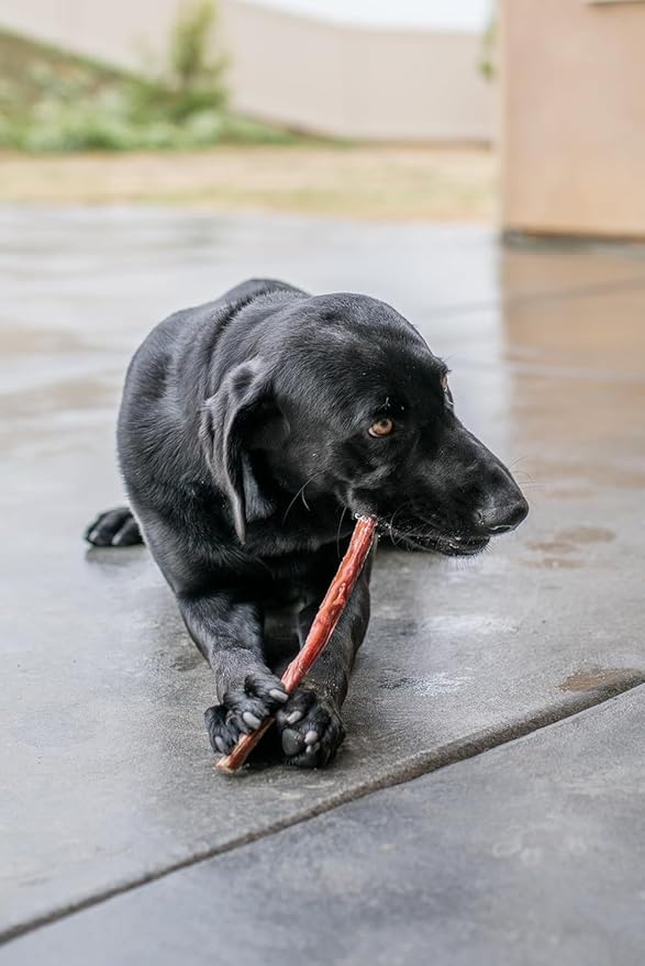 Best Pet Supplies GigaBite 6 Inch Beef Gullet Jerky Sticks (50 Pack) - All Natural, Free Range Beef Esophagus Stick Dog Treat