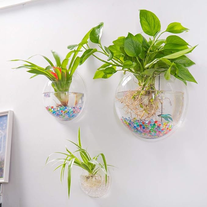 Wall-Hanging Fish Bowl Acrylic Wall-Mounted Plant Pot 1 Gallon Fish Tank 11.5-inches Decoration Planter