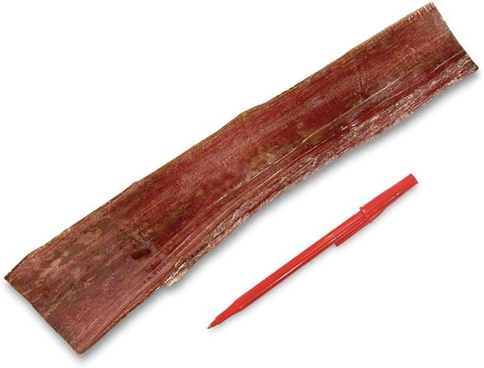 GigaBite 10 to 12 Inch Beef Gullet Jerky Strips (10 Pack) - All Natural, Free Range Beef Esophagus Taffy Dog Treat by Best Pet Supplies