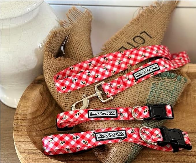 Lucky Love Dog - Adjustable Dog Collar with Easy Click Buckle for Small to Large Ones, Durable, & Comfortable for Male & Female Dogs, Pet Collar for Puppies & Adult Dogs - Bailey, XS
