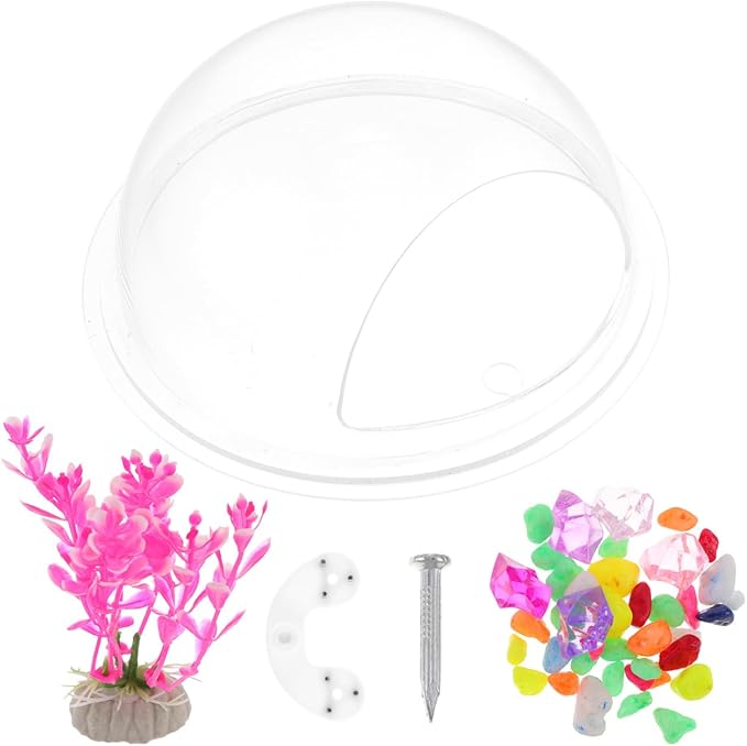 POPETPOP Wall-Mounted Acrylic Fish Tank Transparent Hanging Aquarium for Home Decor for Fish Water Plants Space-Saving Wall Decoration