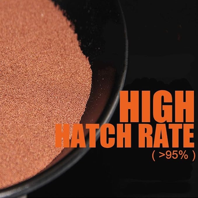 Brine Shrimp Eggs for Aquatic Foods Baby & Fry Foods The Popular 90% Hatch GSL Brine Shrimp Eggs (1 OZ)