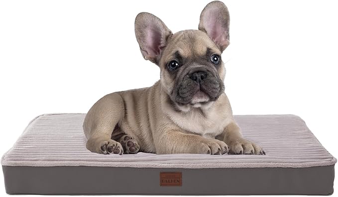Orthopedic Dog Bed for Small Dogs - Soft Plush Washable with Egg Crate Foam, Waterproof & Removable Cover, Anti-Slip Bottom, Comfy Striped Crate Bed, 30x20 Inch, Gray