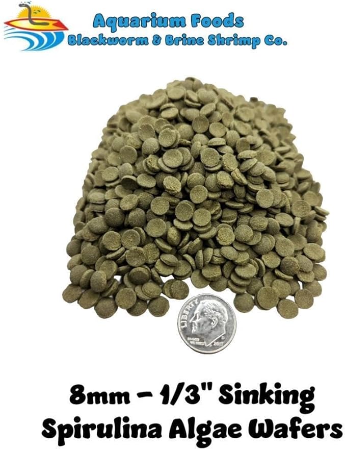 Aquatic Foods Inc. 8mm - 1/3" Mini Sinking Wafers of Algae, Spirulina, Veggies for All Tropical Fish, African Cichlids, Shrimp, Snails, Crabs, Catfish, Plecos.…1-lb 2.3oz Clear Bag