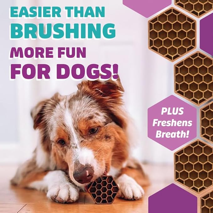 Longevity15 C15:0 Dog Health Supplement (30-Day Supply) & Yummy Combs Dog Dental Treats (8oz Bag) for Extra Large Dogs – C15:0 Fatty Acid for Daily Wellness, Food Topper – VOHC Approved Oral Care