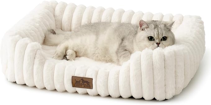 Orthopedic Dog Bed for Small Dogs & Cats - Washable Rectangle Pet Bed with Anti-Slip Bottom, Soft Calming Cat & Puppy Bed for Indoor Pets (25"x21"x6", Cream)