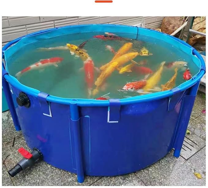 WANLIAN Pool Above Ground Canvas Fish Pond Circular Thickening Pool Large Collapsible Outdoors Tarpaulin for Koi Culture Agricultural Irrigation Water Storage Tank,Easy to Install(Belt Frame)(3 * 1)