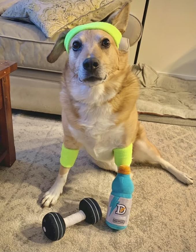 Fitness Funny Dog Toys - Doggyade and Doggy Dumbbell Workout Parody Cute Dog Toys - 2 Pack (Workout Pack)