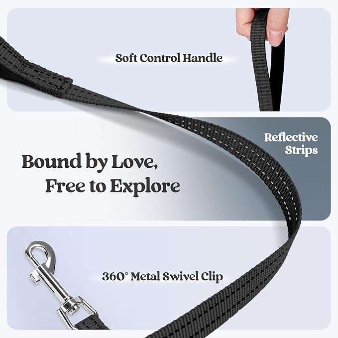 rabbitgoo Dog Harness Small Sized and Leash Set, Step in Soft Light Puppy Vest, Breathable Mesh Pet Harness, Reflective for Safe Easy Walking, Black S