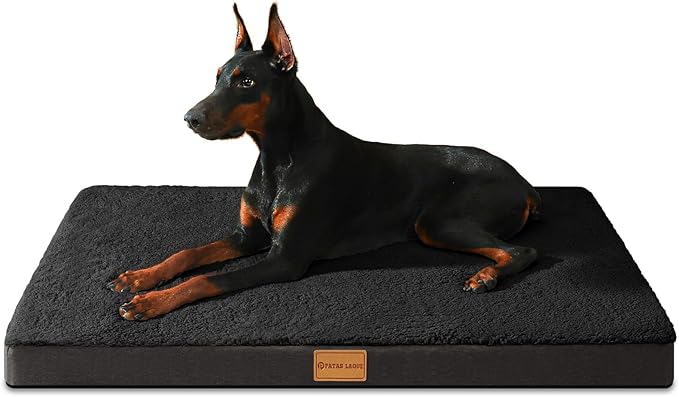 Patas Lague Orthopedic Dog Bed Large Sized Dog 36''X24'',Soft Waterproof Egg Crate Foam Medium Pet Crate Beds Mat with Removable Washable Cover and Non-Slip Bottom, Black