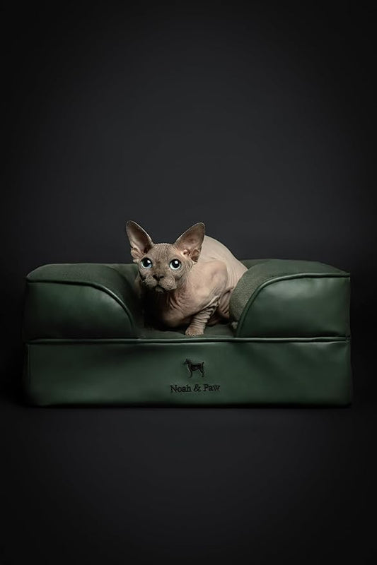 NOAH & PAW Small Dog Bed, 20x15x8 Inch, Cat Bed for Indoor Cats, Orthopedic Eggshell Memory Foam Infused with Cooling Gel, Waterproof Inner Cover Machine Washable (Faux Leather Collection)