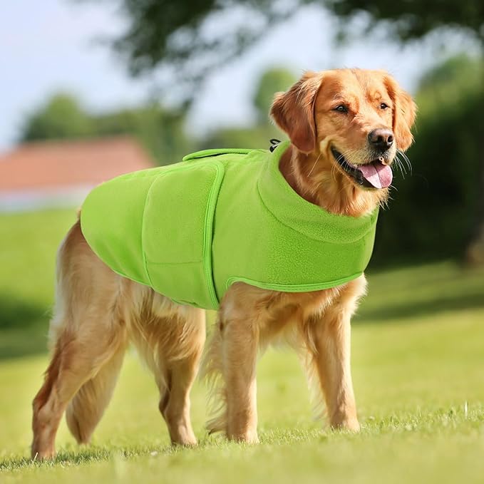 Queenmore Small Dog Sweaters, Soft Fleece Vest Pullover Dog Jacket with Leash Hole, Warm Winter Dog Clothes Cold Weather Doggy Dachshund Sweater for Small Dogs Cats Boy or Girl (Green, S)