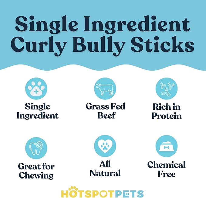 hotspot pets Spring Bully Sticks for Dogs -(6 Pack) Premium All Natural Long Twisted Beef Pizzle Dog Chew Treats - Grain Free Fully Digestible Rawhide Alternative - 6 Inch Sticks