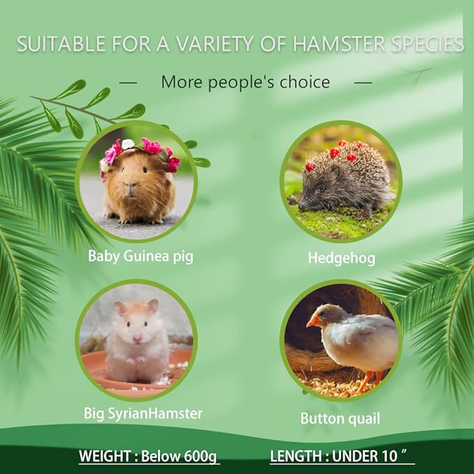 kcrygogo Large Hamster Maze Wood House Fun Slide House Double-Decker Hut Chew Toys for Bigger Syrian Hamsters Dwarf Gerbil Mouse Mice Rat Small Animals