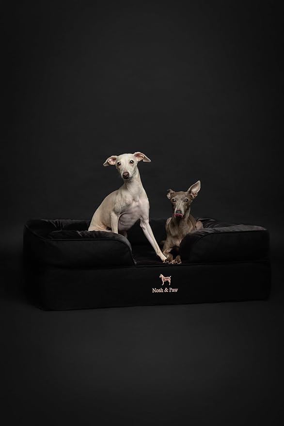 NOAH & PAW Large Dog Bed, 35x25x11 Inch, Orthopedic Dog Beds, Eggshell Memory Foam Infused with Cooling Gel, Inner Cover, Waterproof, Machine Washable (Denim Sofa Collection)