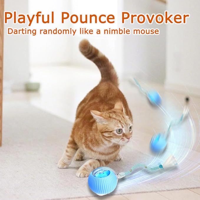 1PC Interactive Cat Toys for Indoor Cats,2025 New Generation Interactive Cat Ball Toy with Elastic Mesh Tail,Automatic Cat/Kitten Toys with Chirping & Motion Activate,Cat Toys for Bored Indoor,Blue