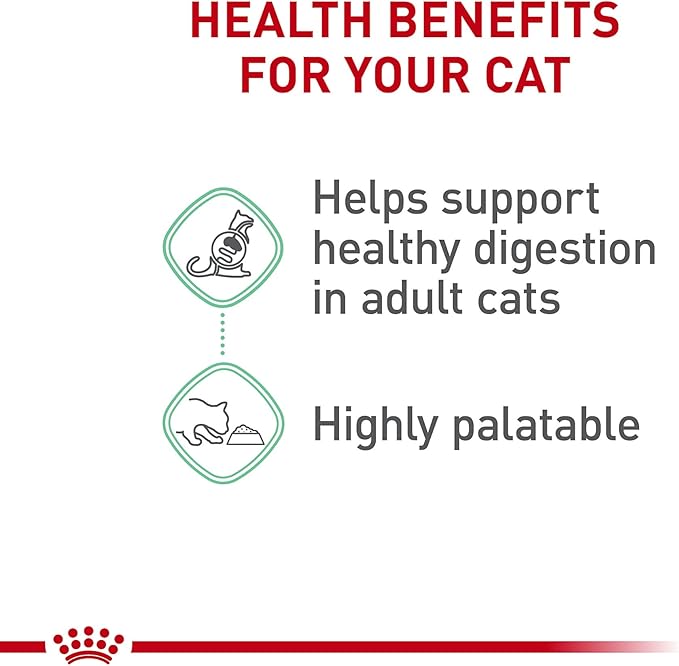 Royal Canin Feline Care Nutrition Digestive Care Adult Loaf in Sauce Cat Food, 3 oz (Pack of 24)