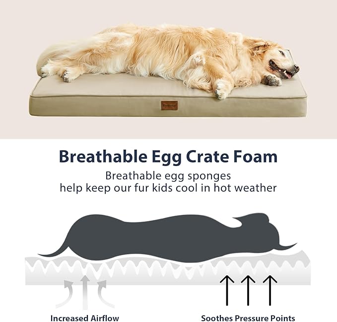 BFPETHOME Outdoor Dog Bed for Large Dogs, Waterproof, Orthopedic with Removable Washable Cover, Egg Crate Foam Mat (47 x 29in, Beige)