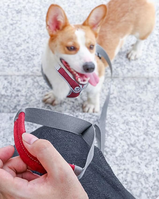 Medium Dog Harness and Leash Set,No Pull Adjustable Step in Soft Mesh Vest Harness,Easy Walk Reflective Pet Harness with Padded Handle for Walking Training Small Medium Large Dogs and Cats (Red, M)
