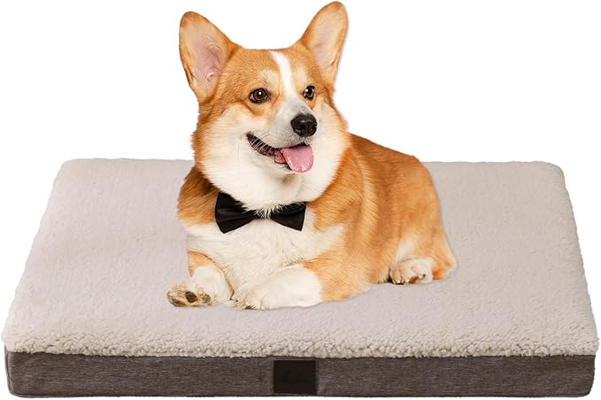 DaysU Dog Bed for Small Dogs, Orthopedic Dog Beds with Removable Washable Cover, Small Egg Crate Foam Pet Bed Mat, Brown, Suitable for Dogs Up to 20 lbs, 30x20x3in