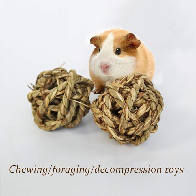 10PCS Rabbit Grass Balls 2.8in Large Guinea Pig Balls Small Animal Activity Enrichment Toy for Bunny Chinchilla Hamster Gerbil Grinding Playing