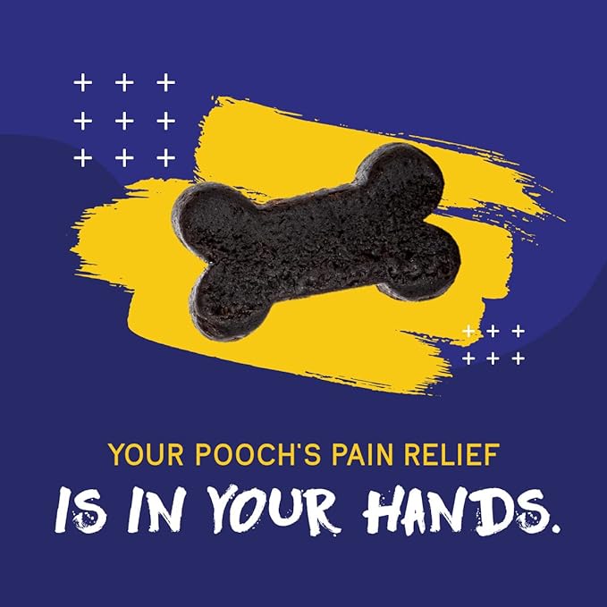 PupGrade Joint Support Supplement for Dogs - Natural Glucosamine Chondroitin with MSM - Hip & Joint Pain Relief - Recommended for Hip Dysplasia, Arthritis & Joint Disease - USA Tested - 60 Chews