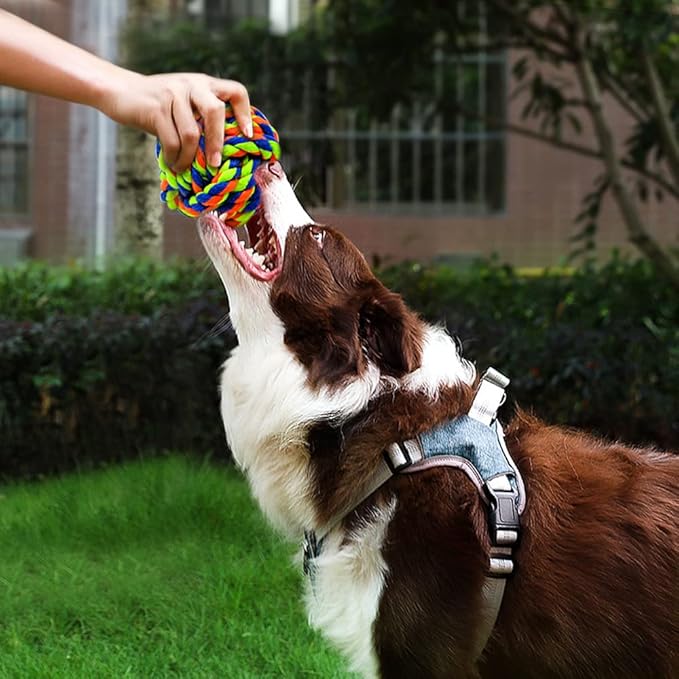 Pet Chew Toy, Knots Weave Cotton Rope, Biting Small Ball for Dogs & Cats, 6 in One Pack