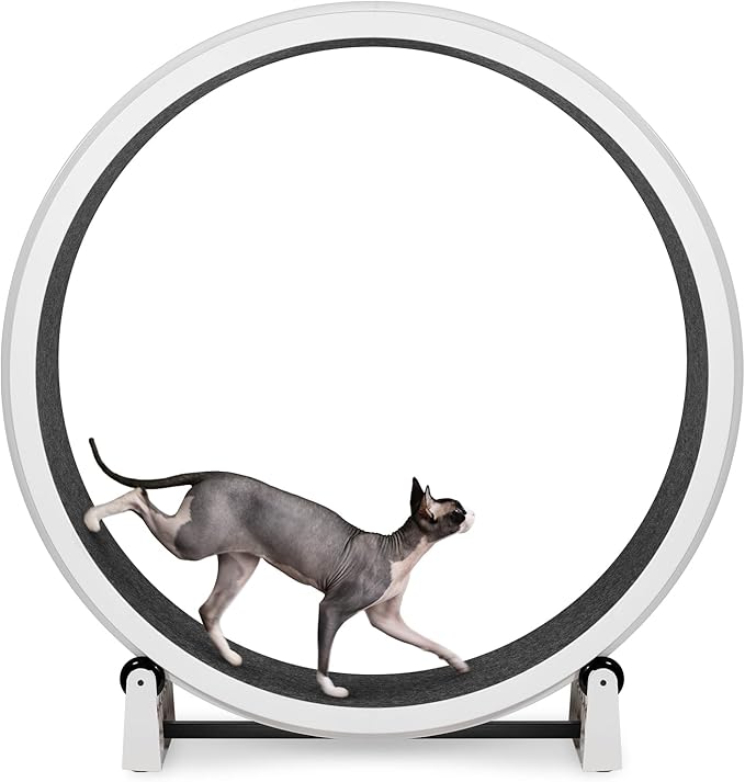 One Fast Cat - Cat Exercise Wheel - Gen. 7 - Safe 48" Diameter - Made in The USA - White Wheel with Black Felt Traction Pads and Solid Black Inline Wheels