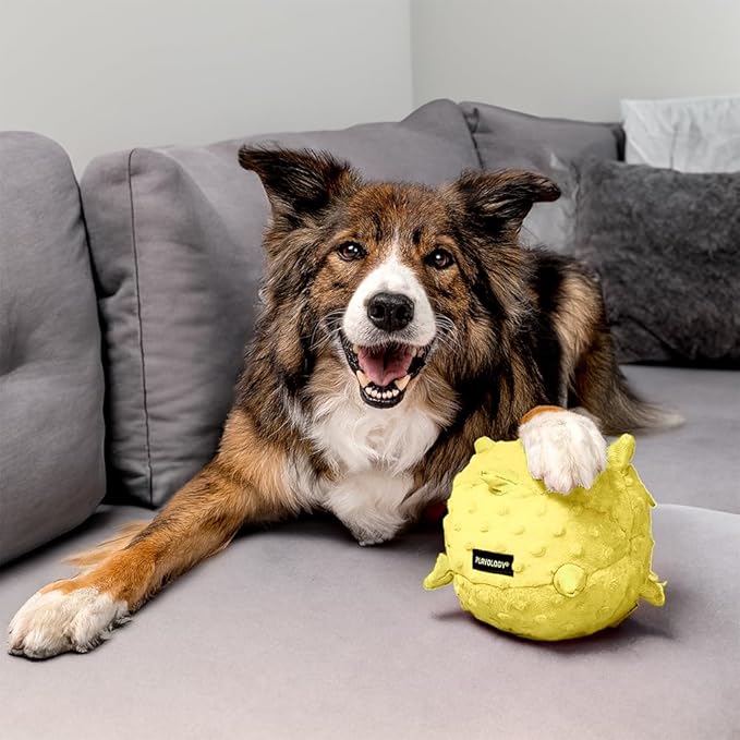 Playology Dog Toys | Puppy Toy Plush Sensory Ball for Dogs and Puppies for Dogs and Puppies | Jumbo Chicken Scented Toy - Easy to Clean and Made from Non Toxic Materials