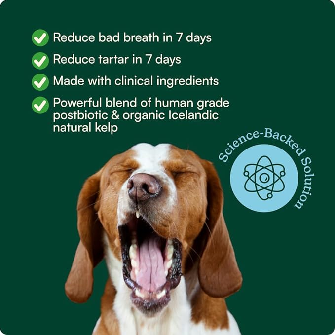 Reggie Dental Powder for Dogs | Reduce Bad Breath in 7 Days, Plaque & Tartar Control | Natural Dog Dental Supplement | Postbiotic Formula with Organic Kelp | Vet-Approved & Made in USA | 60 Servings
