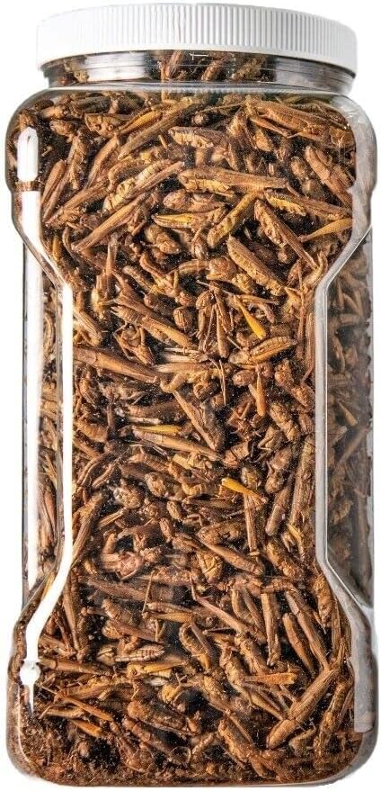 Aquatic Foods Inc. Grasshoppers - Freeze Dried Grasshoppers for Tropical Fish, Reptiles, Turtles, Tortoises Frogs, Hamsters, Birds, Rodents…14oz Lg Jar