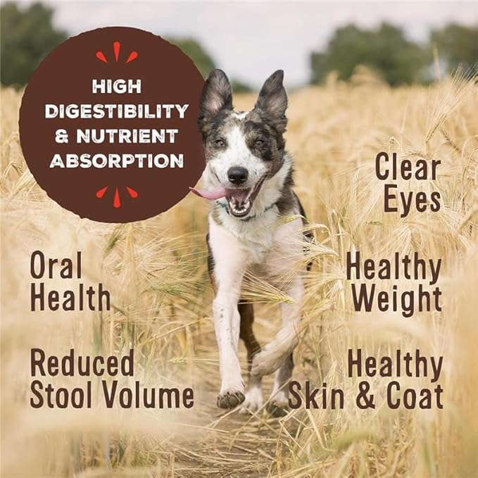 Primal Freeze Dried Raw Dog Food Nuggets, Chicken, Complete & Balanced Meal, Also Use as Topper or Treat, Premium, Healthy, Grain Free, High Protein Raw Dog Food, 5.5 oz