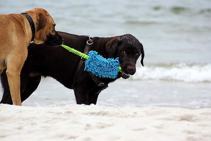 Dingo Dog tug of war Toy for Outdoor Play Traning Agility,Cuddly and Shaggy Plush tug Toy for Motivation and Fun,Soft Nubby-Textured Noodle Plush with Bungee Shock Absorber and Rubber Ball Blue 15587