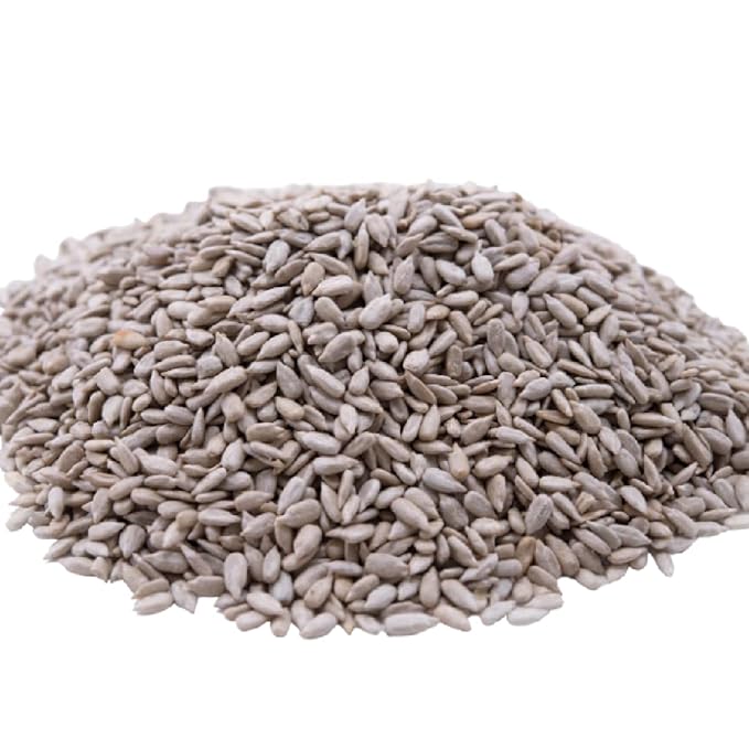Lightly Sea Salted Sunflower Seed Kernels by Gerbs - 4 LBS - Top 11 Food Allergen Free & Non GMO - Premium Dry Roasted Seeds – COG USA