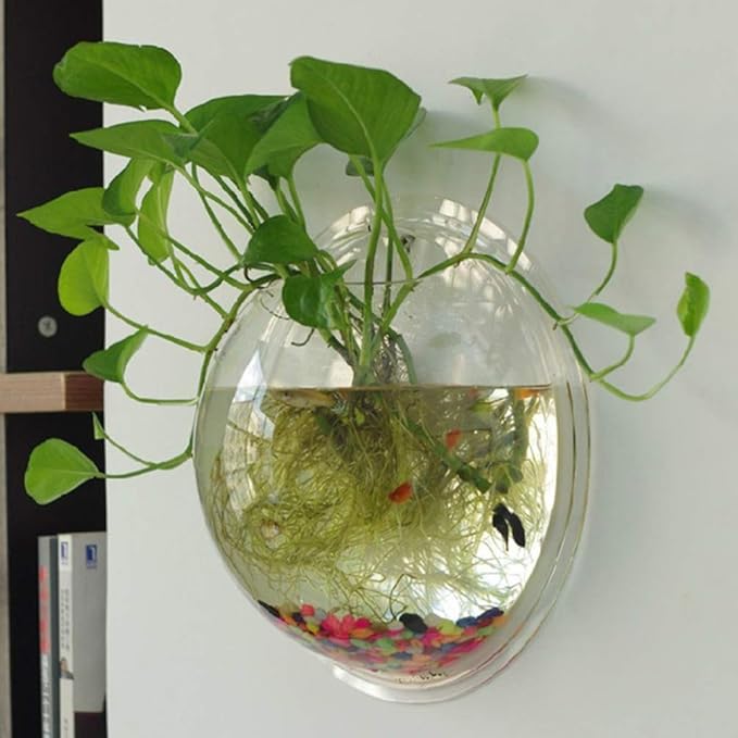 Aquarium Supplies Wall Fish Tank Hanging Fish Tank Aquarium Tanks Fish