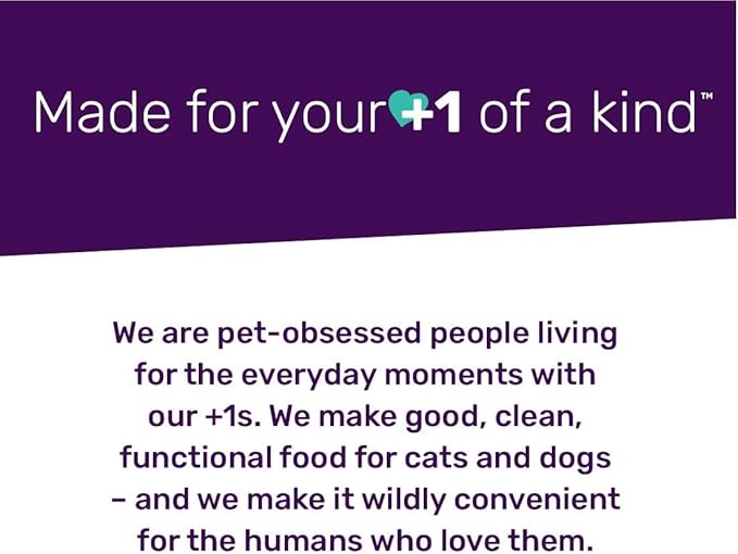 I and love and you Wet Cat Food - Oh My Cod Pâté - Cod Recipe, Grain Free, Filler Free, 5.5oz Pack of 12 Cans